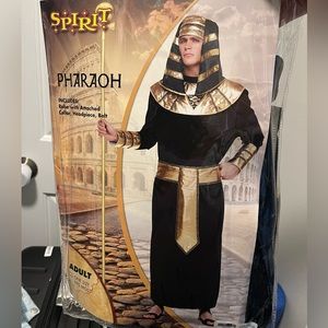 Adult Pharoah Costume